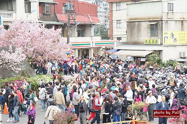 2.DSC09451.jpg 2.DSC09451.jpg