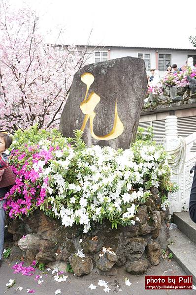 3.DSC09455.jpg 3.DSC09455.jpg