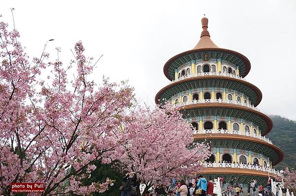 6.DSC09437.jpg 6.DSC09437.jpg