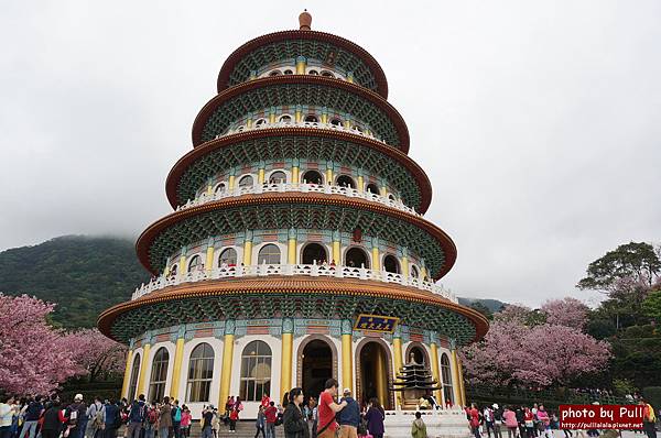 7.DSC09251.jpg 7.DSC09251.jpg