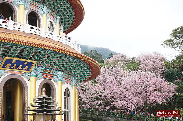 8.DSC09253.jpg 8.DSC09253.jpg