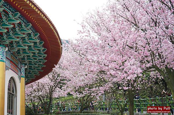 8-1.DSC09385.jpg 8-1.DSC09385.jpg