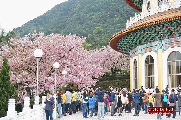 9.DSC09254.jpg 9.DSC09254.jpg