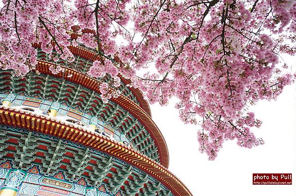 12.DSC09301.jpg 12.DSC09301.jpg