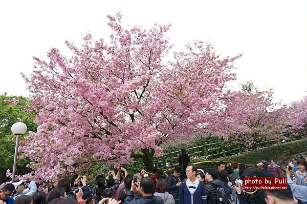 15.DSC09334.jpg 15.DSC09334.jpg