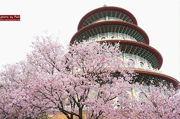 17.DSC09247.jpg 17.DSC09247.jpg