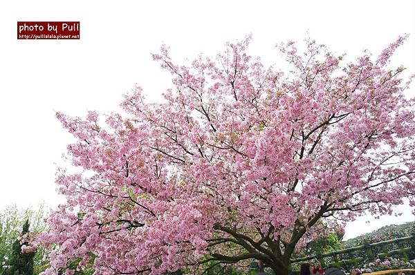 22.DSC09278.jpg 22.DSC09278.jpg