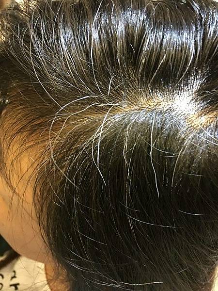 3.IMG_0439.JPG 3.IMG_0439.JPG