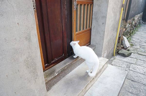 57.DSC06188.JPG 57.DSC06188.JPG