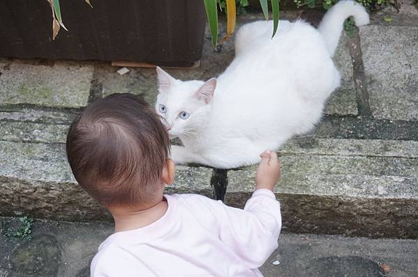 58.DSC06195.JPG 58.DSC06195.JPG