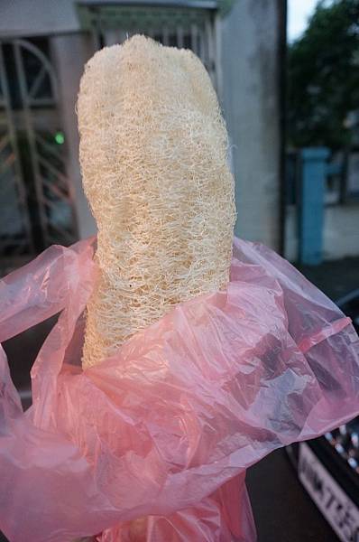 76.DSC06231.JPG 76.DSC06231.JPG