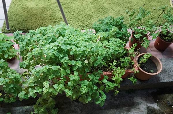 16.DSC01715.JPG 16.DSC01715.JPG