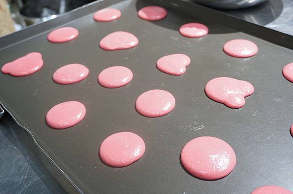 DSC01919.JPG DSC01919.JPG