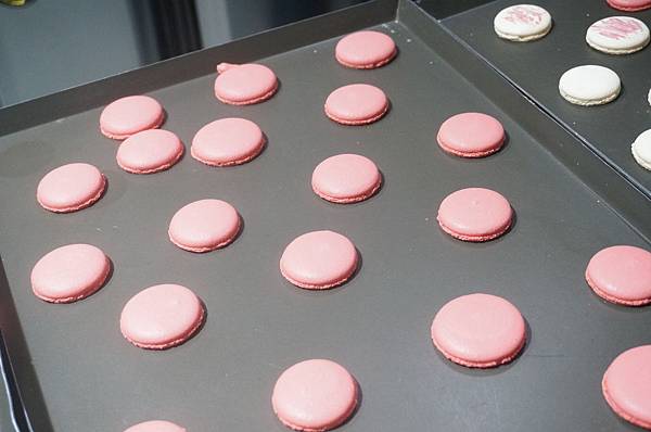 DSC01990.JPG DSC01990.JPG