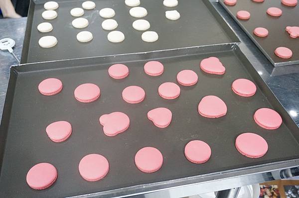 DSC01991.JPG DSC01991.JPG