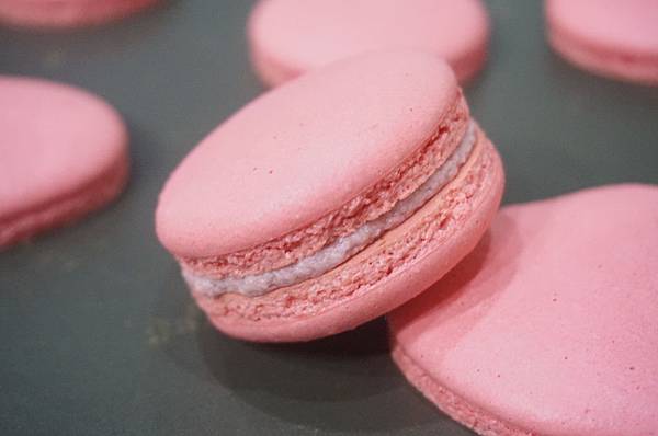 DSC02010.JPG DSC02010.JPG