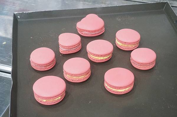 DSC02019.JPG DSC02019.JPG