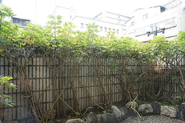 DSC02216.JPG DSC02216.JPG