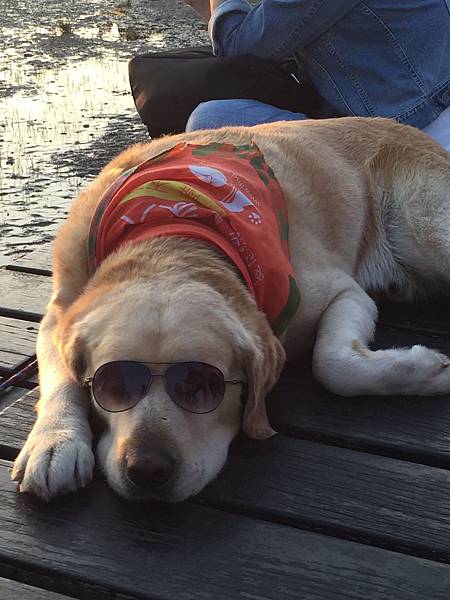 image.jpeg image.jpeg