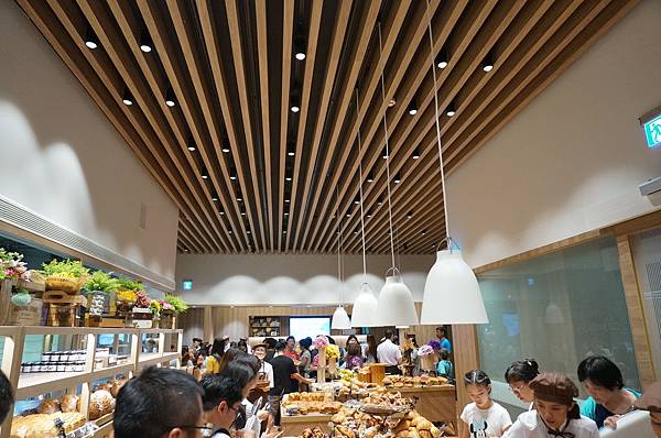 DSC02551.JPG DSC02551.JPG