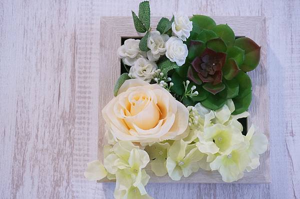 DSC03315.JPG DSC03315.JPG