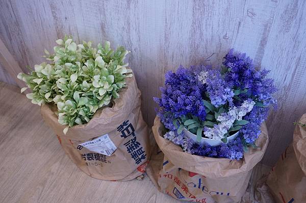 DSC03322.JPG DSC03322.JPG