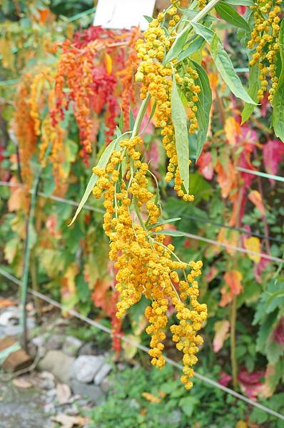 DSC05725.JPG DSC05725.JPG