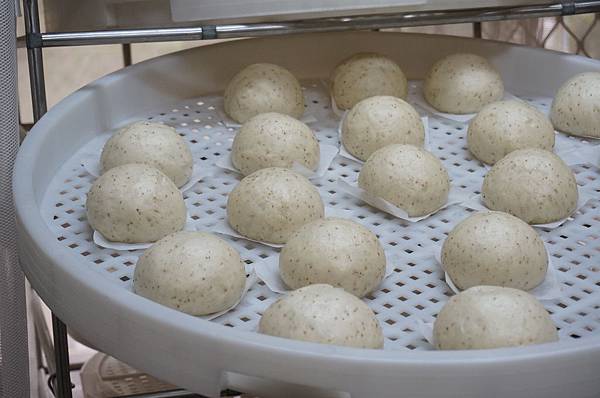 DSC05735.JPG DSC05735.JPG