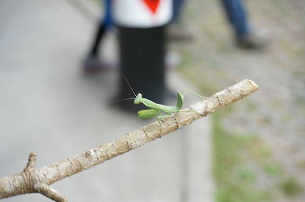 DSC05750.JPG DSC05750.JPG