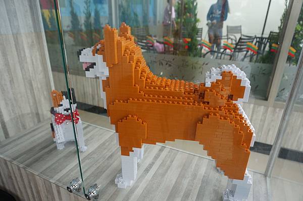 LRG_DSC06163.jpeg LRG_DSC06163.jpeg