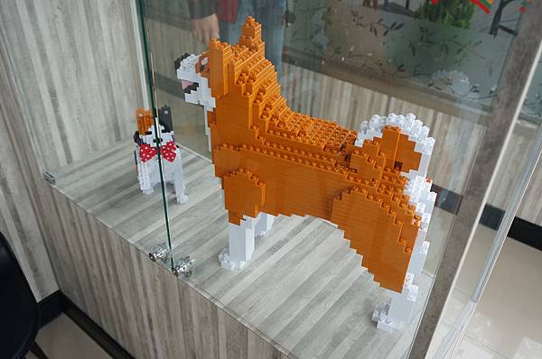 LRG_DSC06179.jpeg LRG_DSC06179.jpeg