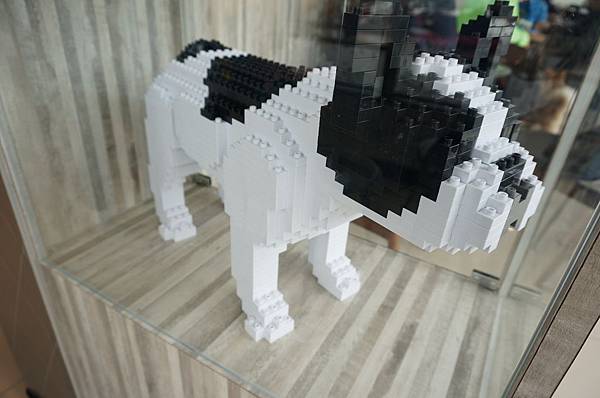 LRG_DSC06183.jpeg LRG_DSC06183.jpeg