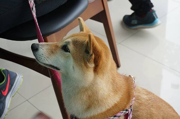 LRG_DSC06180.jpeg LRG_DSC06180.jpeg