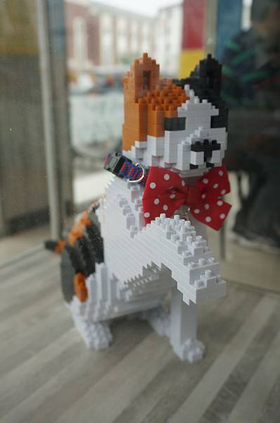 LRG_DSC06185.jpeg LRG_DSC06185.jpeg