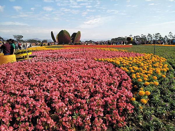 IMG20171225130901.jpg IMG20171225130901.jpg