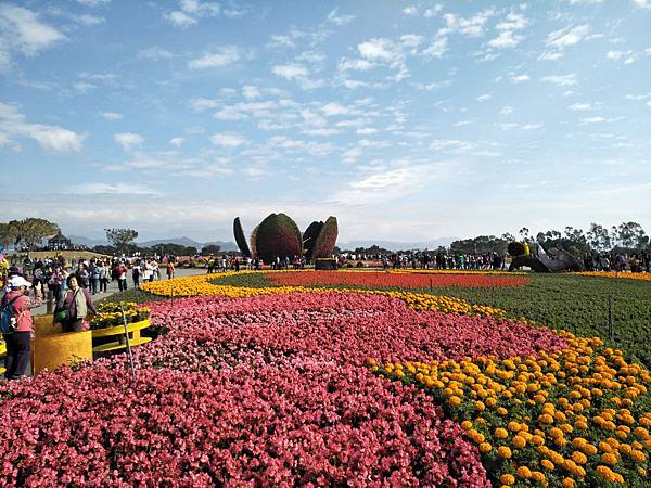 IMG20171225130905.jpg IMG20171225130905.jpg