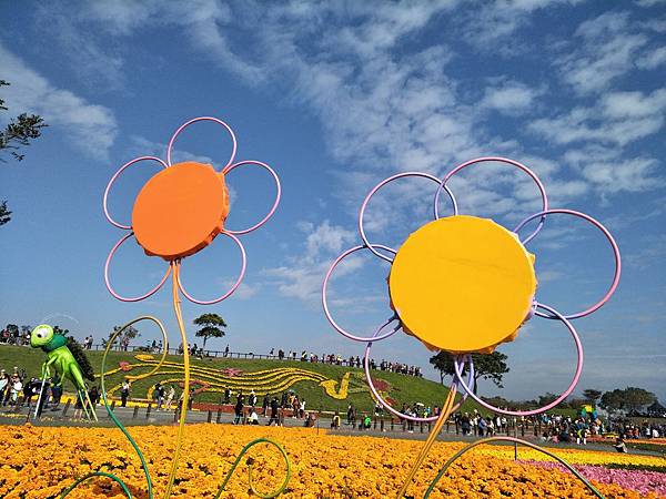 IMG20171225131846.jpg IMG20171225131846.jpg