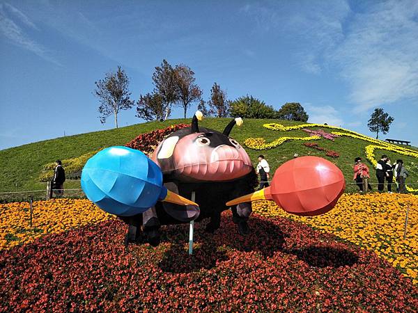 IMG20171225132911.jpg IMG20171225132911.jpg