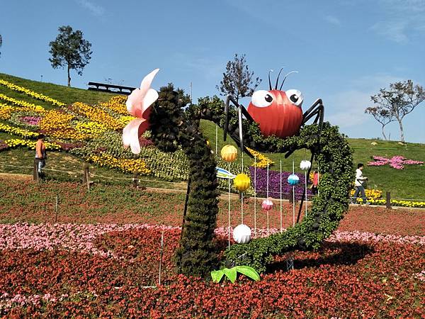 IMG20171225133249.jpg IMG20171225133249.jpg