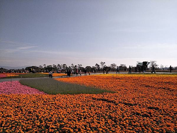 IMG20171225133949.jpg IMG20171225133949.jpg