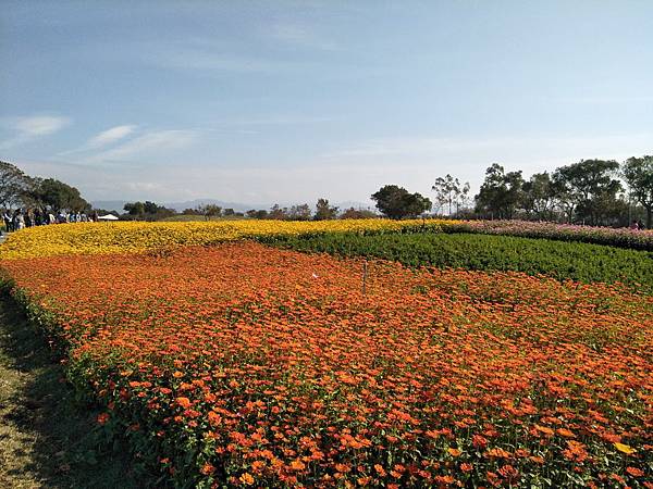 IMG20171225135703.jpg IMG20171225135703.jpg