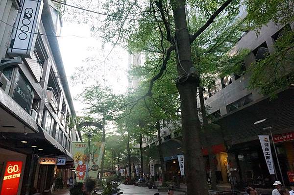 DSC07518.jpg DSC07518.jpg