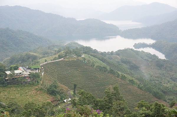 DSC09505.JPG DSC09505.JPG