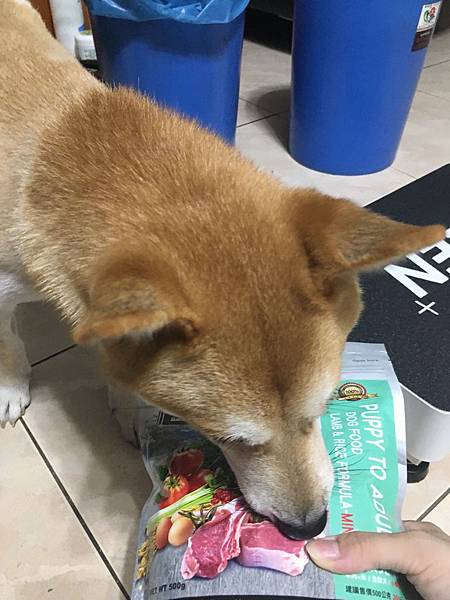 IMG_1256.JPG IMG_1256.JPG