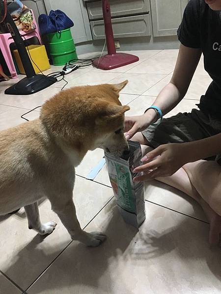 IMG_1265.JPG IMG_1265.JPG