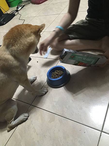 IMG_1272.JPG IMG_1272.JPG