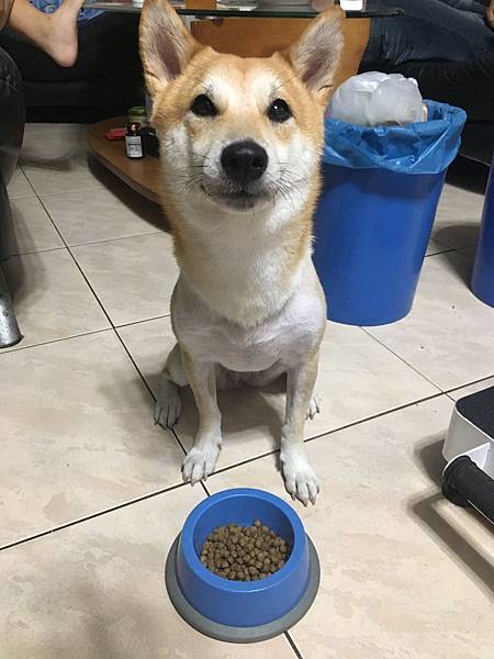 IMG_1273.JPG IMG_1273.JPG