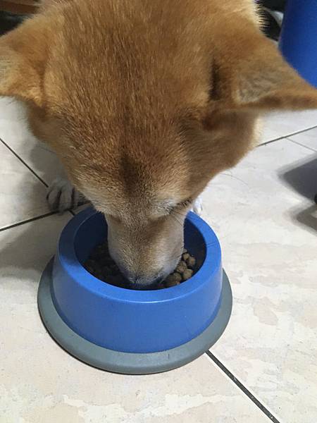 IMG_1274.JPG IMG_1274.JPG