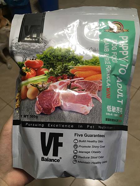 IMG_1279.JPG IMG_1279.JPG