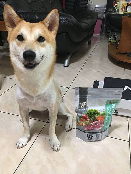 IMG_1251.JPG IMG_1251.JPG